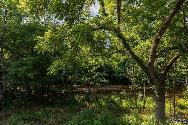 776 Big Buffalo Rd, Mo, MO 65078 - photo 31