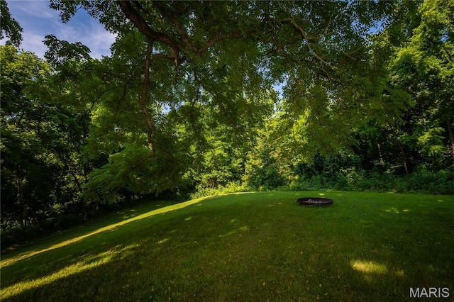 776 Big Buffalo Rd, Mo, MO 65078 - photo 40