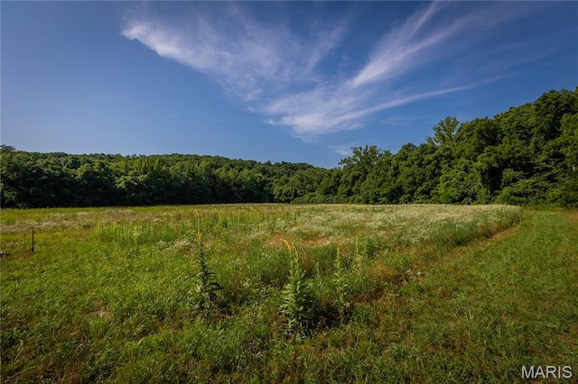 776 Big Buffalo Rd, Mo, MO 65078 - photo 43