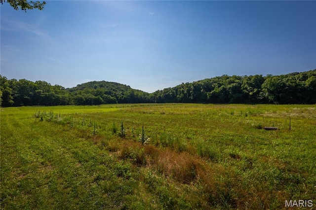 776 Big Buffalo Rd, Mo, MO 65078 - photo 44