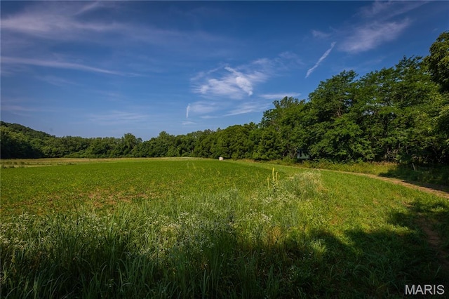 776 Big Buffalo Rd, Mo, MO 65078 - photo 45