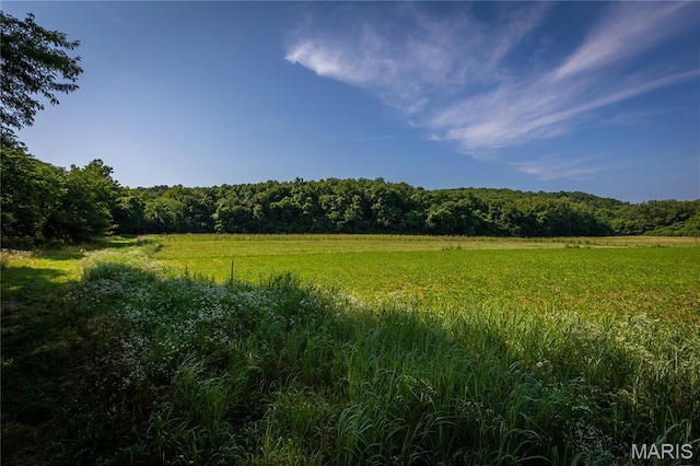 776 Big Buffalo Rd, Mo, MO 65078 - photo 46
