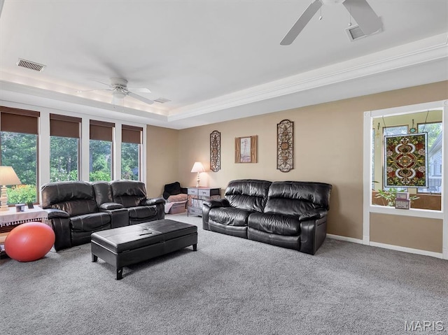 394 Sunset Echo Rd, Union, MO 63084 - carpeted living area featuring a ceiling fan and a tray ceiling