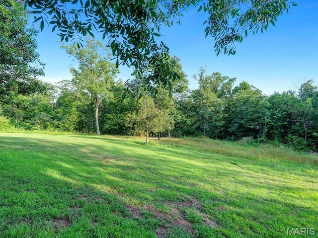 394 Sunset Echo Rd, Union, MO 63084 - view of grassy yard featuring a forest view