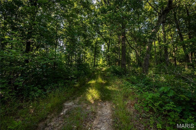 TBD Beechnut Rd, Mo, MO 65078 - photo 1