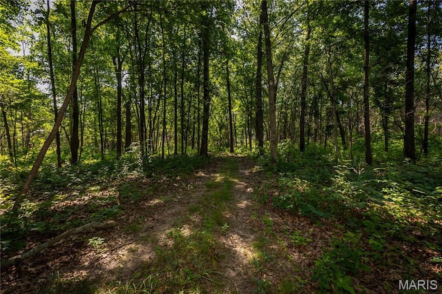 TBD Beechnut Rd, Mo, MO 65078 - photo 2