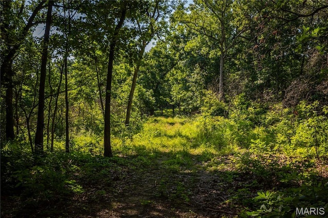 TBD Beechnut Rd, Mo, MO 65078 - photo 3