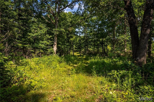 TBD Beechnut Rd, Mo, MO 65078 - photo 5