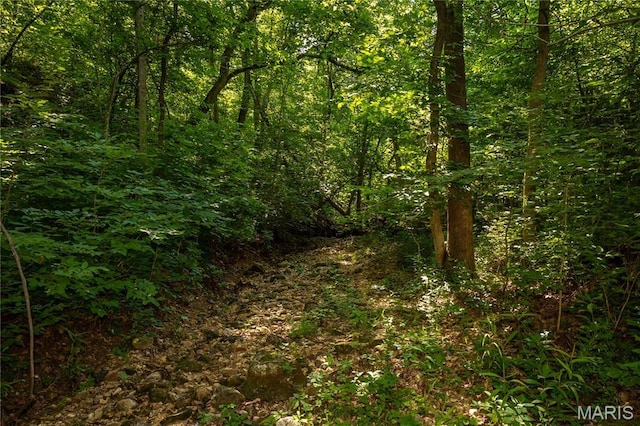 TBD Beechnut Rd, Mo, MO 65078 - photo 9