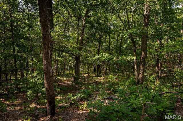 TBD Beechnut Rd, Mo, MO 65078 - photo 11