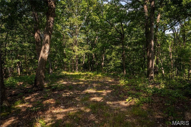 TBD Beechnut Rd, Mo, MO 65078 - photo 13