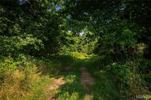 TBD Beechnut Rd, Mo, MO 65078 - photo 18