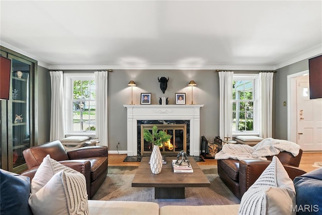 43 Highgate Rd, Olivette, MO 63132 - living room with a fireplace, wood finished floors, and crown molding