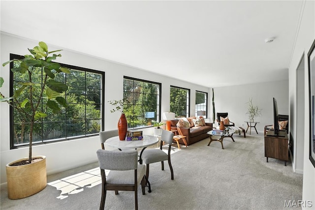 43 Highgate Rd, Olivette, MO 63132 - view of carpeted living room