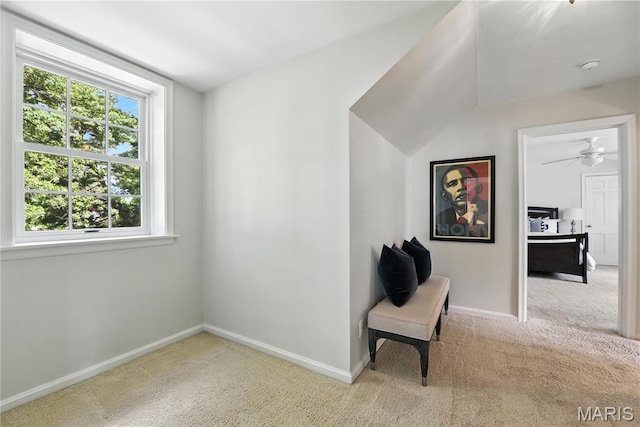 43 Highgate Rd, Olivette, MO 63132 - unfurnished room featuring carpet and lofted ceiling