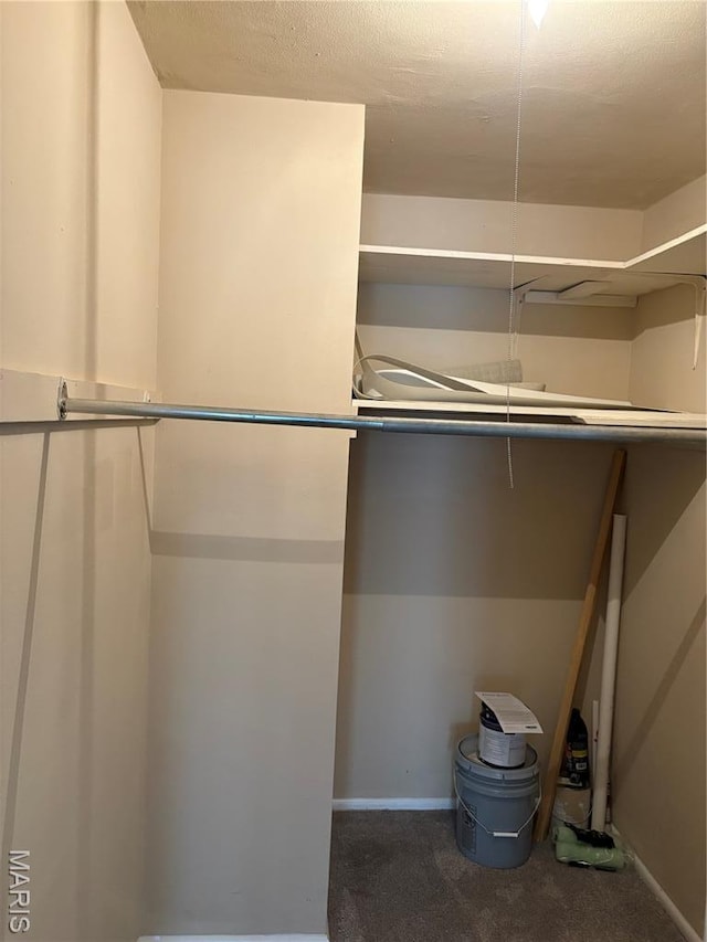 10335 Forest Brook Ln Unit C, Creve Coeur, MO 63146 - spacious closet featuring carpet flooring