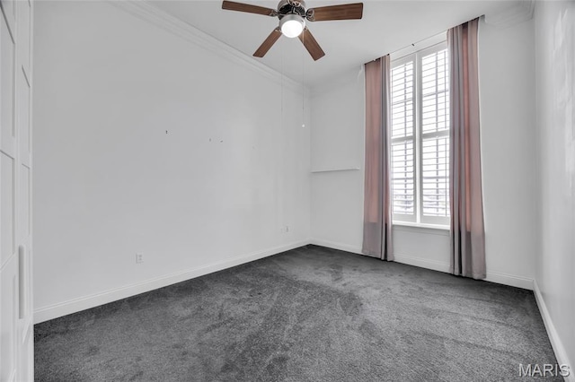 1515 Lafayette Ave Unit 401, Saint Louis, MO 63104 - photo 14
