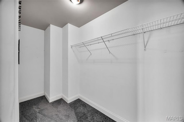1515 Lafayette Ave Unit 401, Saint Louis, MO 63104 - photo 16