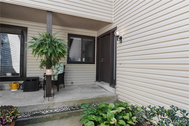 11724 Russet Meadow Dr, Creve Coeur Township, MO 63146 - doorway to property