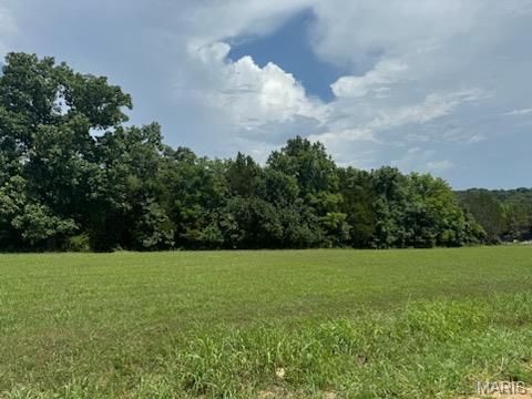 LOT35 Morgan Lake Rd, De Soto, MO 63020