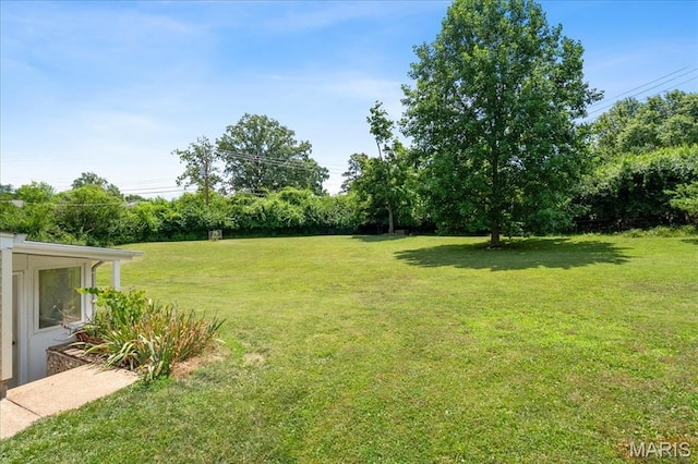 1239 Vero Ln, Ellisville, MO 63011 - view of grassy yard