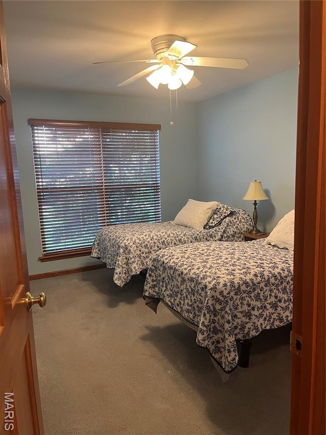 3 Boxwood Crest Ct, Ofallon, MO 63366 - carpeted bedroom with a ceiling fan and multiple windows