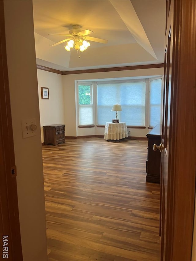 3 Boxwood Crest Ct, Ofallon, MO 63366 - hall with a tray ceiling and wood finished floors