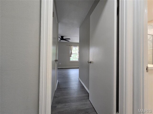 11742 Casa Grande Dr, Creve Coeur Township, MO 63146 - photo 12