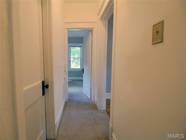 6914 Corbitt Ave, University City, MO 63130 - photo 17
