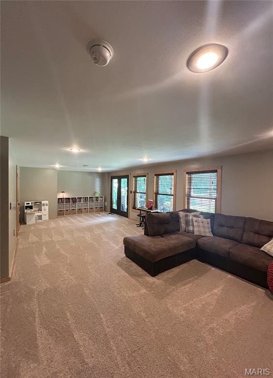 5156 Mccallister Rd, Gerald, MO 63037 - view of carpeted living room