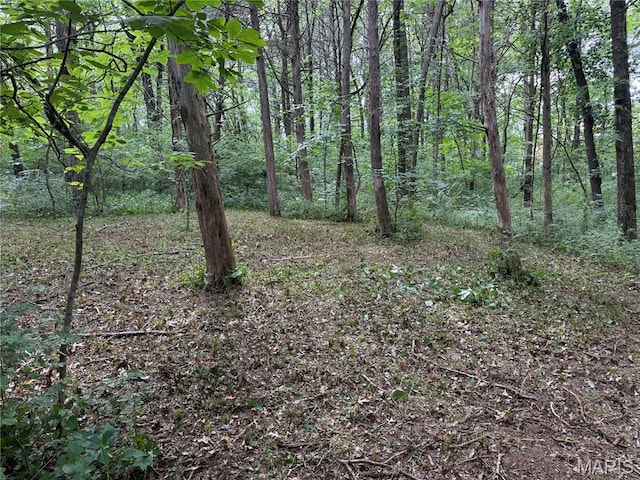 5156 Mccallister Rd, Gerald, MO 63037 - view of wooded area