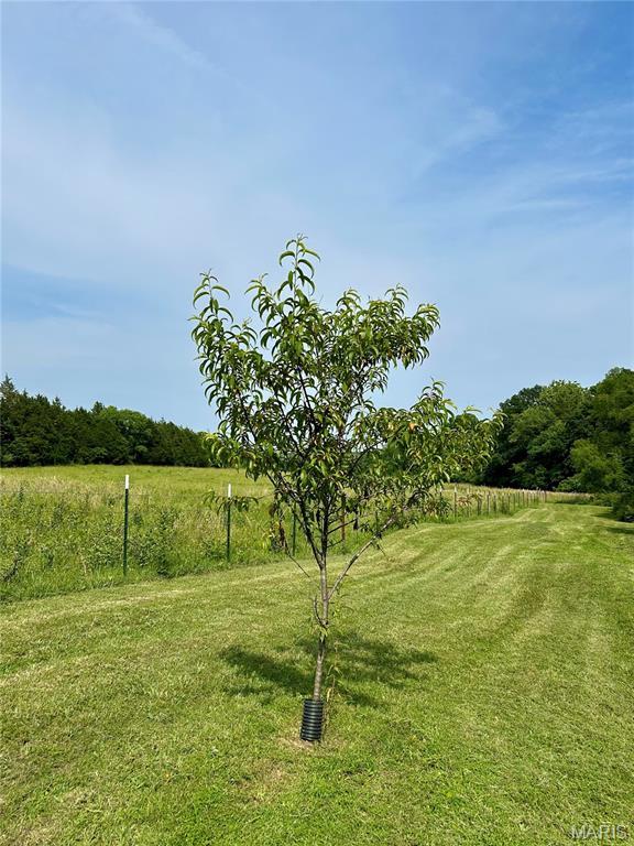 5156 Mccallister Rd, Gerald, MO 63037 - view of grassy yard