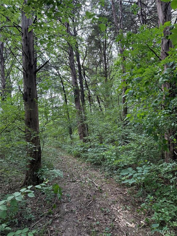 5156 Mccallister Rd, Gerald, MO 63037 - view of woods