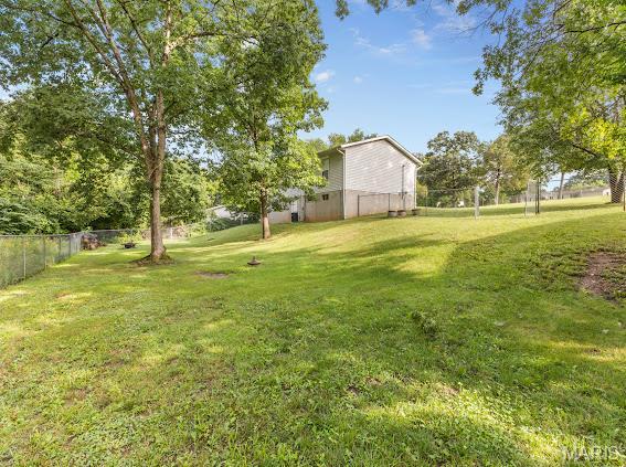 4213 Flucom Rd, De Soto, MO 63020 - view of yard