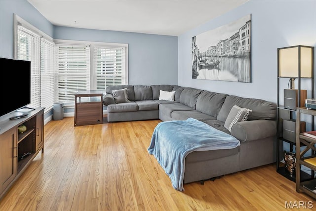1106 Danforth St, Alton, IL 62002 - living room featuring light wood-style flooring