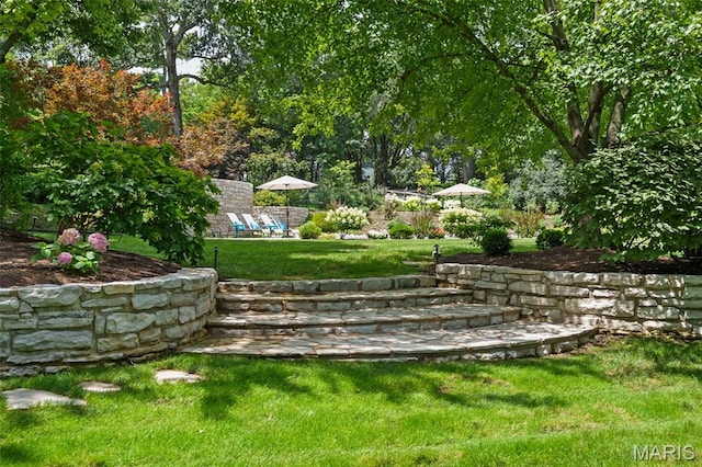 10407 White Bridge Ln, Creve Coeur, MO 63141 - photo 39