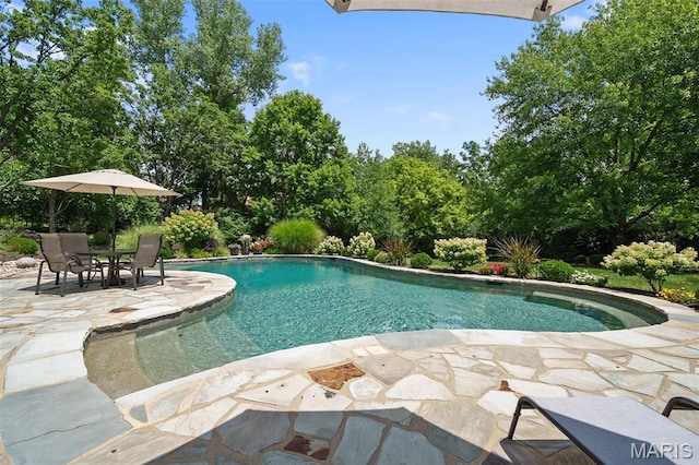10407 White Bridge Ln, Creve Coeur, MO 63141 - photo 41