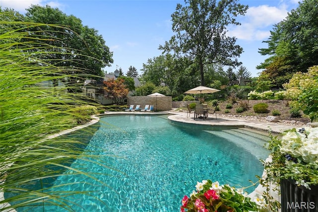 10407 White Bridge Ln, Creve Coeur, MO 63141 - photo 42