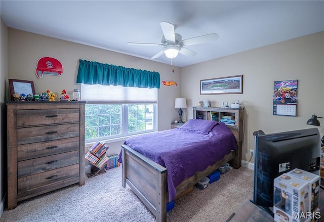 311 Hickory Wood Ct, Lake St Louis, MO 63367 - photo 24