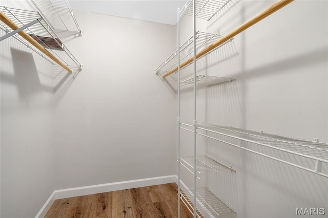 904 Ampere Pl, Lake St Louis, MO 63367 - walk in closet with wood finished floors
