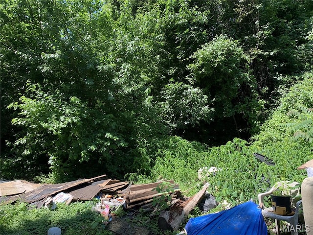 8268 Brenner Ave, Saint Louis, MO 63114 - view of yard with a forest view