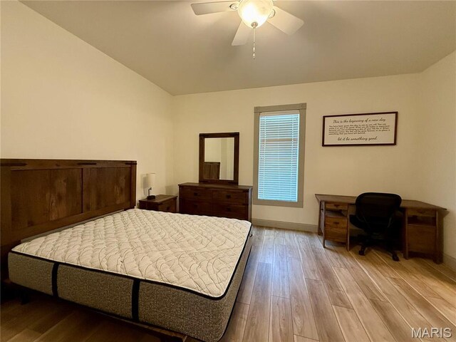 221 N Walnut, Perryville, MO 63775 - photo 17