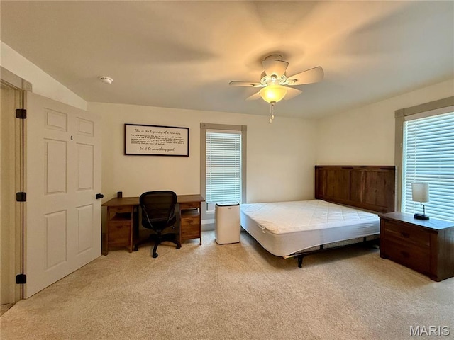 221 N Walnut, Perryville, MO 63775 - photo 26
