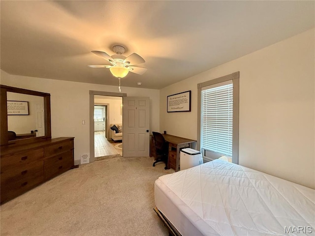 221 N Walnut, Perryville, MO 63775 - photo 27
