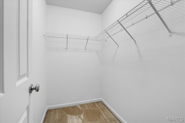 2601 Crimson View Dr, Shiloh, IL 62221 - walk in closet with carpet floors