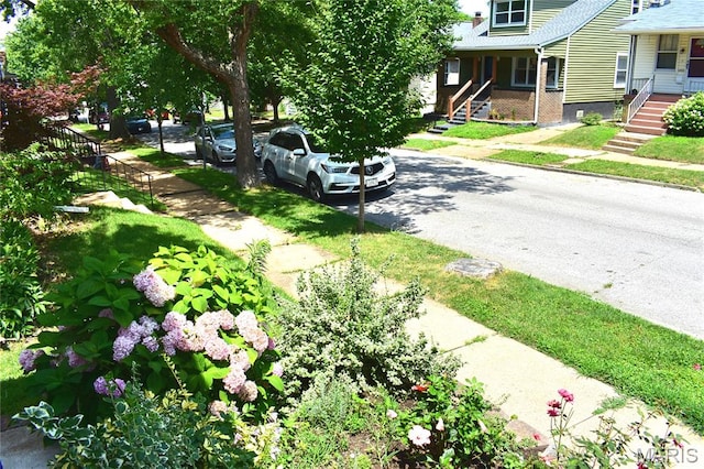 4348 Osceola St, Saint Louis, MO 63116 - photo 30