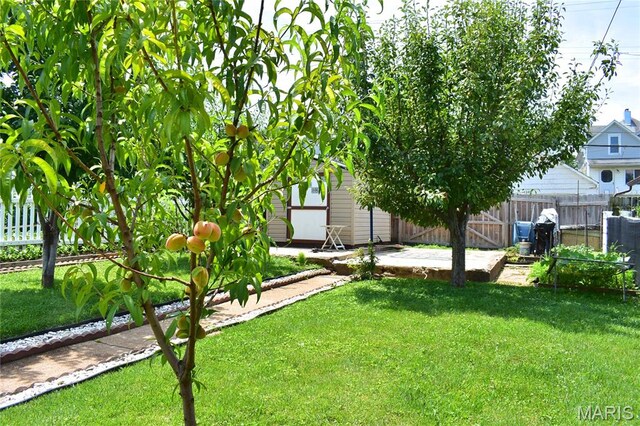 4348 Osceola St, Saint Louis, MO 63116 - photo 34