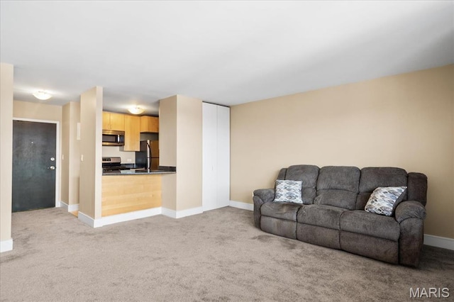 210 N 17th St Unit 1005, Saint Louis, MO 63103 - living area featuring light colored carpet and baseboards