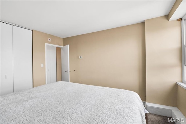 210 N 17th St Unit 1005, Saint Louis, MO 63103 - bedroom with carpet floors and a closet
