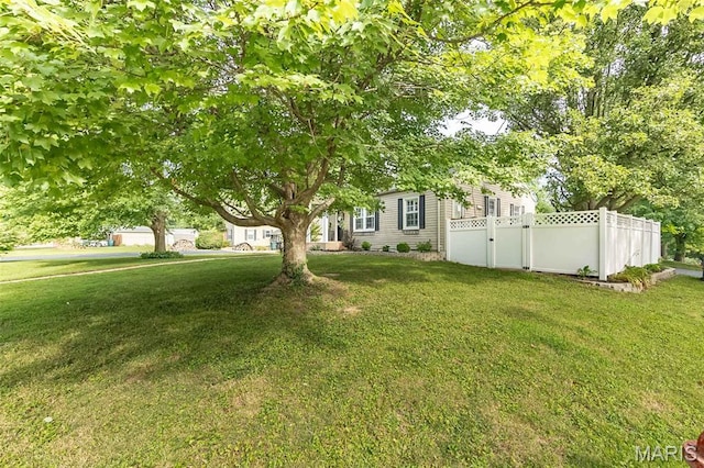 12243 Old Big Bend Rd, Kirkwood, MO 63122 - photo 30